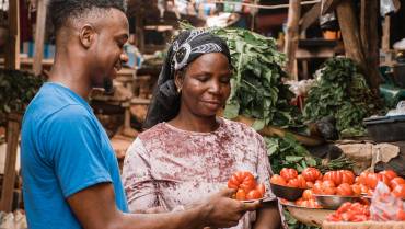 Modernizing Agriculture for Small and Medium Enterprises